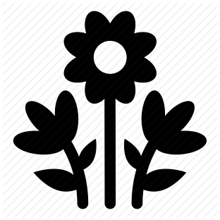 flowers wallpapers